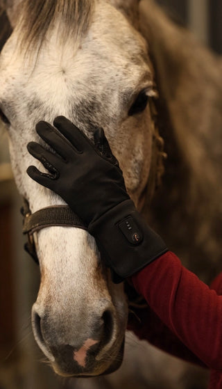 Elektrisch beheizte Reithandschuhe